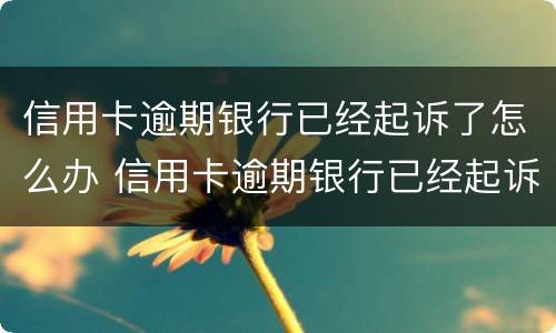信用卡逾期银行已经起诉了怎么办 信用卡逾期银行已经起诉了怎么办理