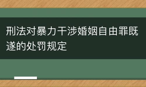 刑法对暴力干涉婚姻自由罪既遂的处罚规定
