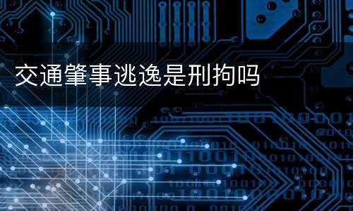 交通肇事逃逸是刑拘吗