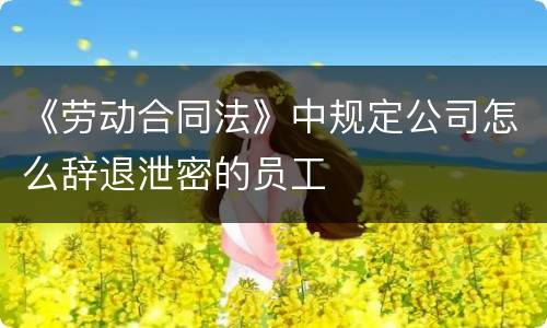 《劳动合同法》中规定公司怎么辞退泄密的员工