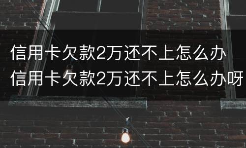 信用卡欠款2万还不上怎么办 信用卡欠款2万还不上怎么办呀