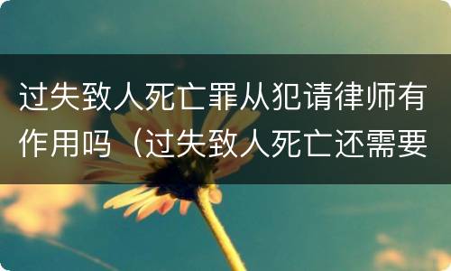 过失致人死亡罪从犯请律师有作用吗（过失致人死亡还需要请律师吗）
