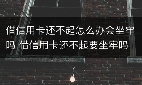 借信用卡还不起怎么办会坐牢吗 借信用卡还不起要坐牢吗