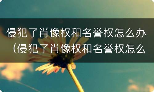 侵犯了肖像权和名誉权怎么办（侵犯了肖像权和名誉权怎么办呢）