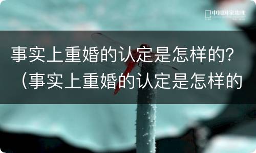 事实上重婚的认定是怎样的？（事实上重婚的认定是怎样的法律）
