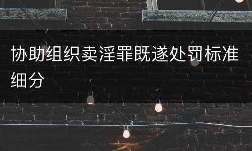 协助组织卖淫罪既遂处罚标准细分