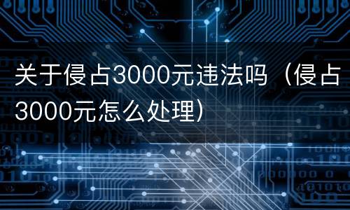 关于侵占3000元违法吗（侵占3000元怎么处理）