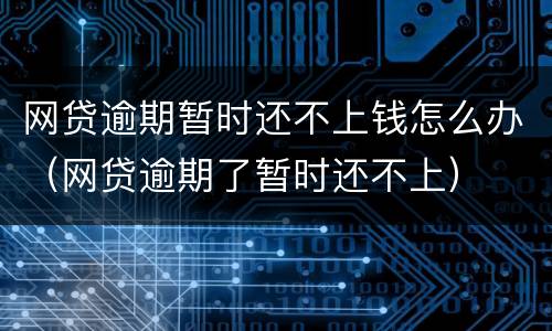 网贷逾期暂时还不上钱怎么办（网贷逾期了暂时还不上）