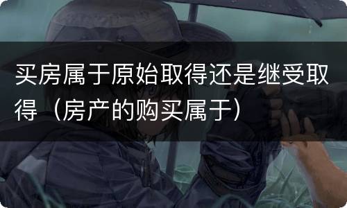 买房属于原始取得还是继受取得（房产的购买属于）