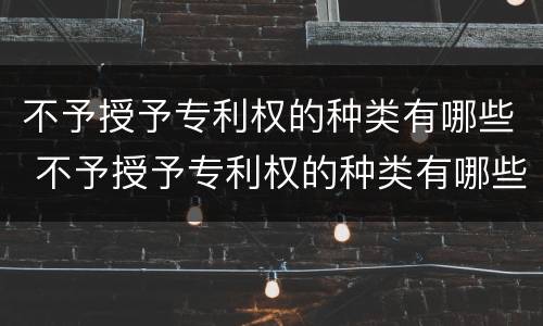 不予授予专利权的种类有哪些 不予授予专利权的种类有哪些规定