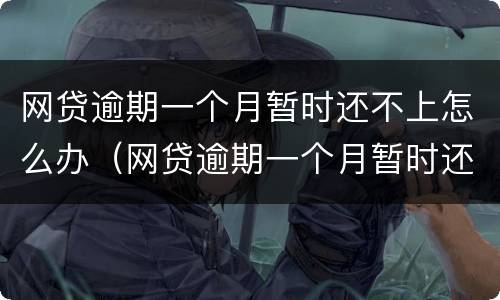 网贷逾期一个月暂时还不上怎么办（网贷逾期一个月暂时还不上怎么办哈尔滨）