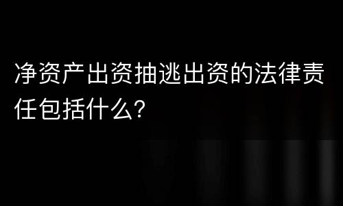 净资产出资抽逃出资的法律责任包括什么？