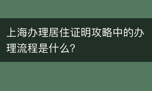 上海办理居住证明攻略中的办理流程是什么？