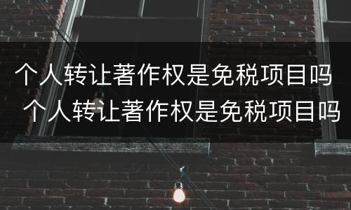 个人转让著作权是免税项目吗 个人转让著作权是免税项目吗为什么