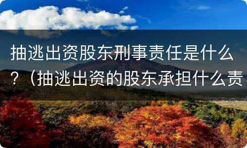 抽逃出资股东刑事责任是什么?（抽逃出资的股东承担什么责任）