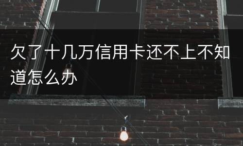 欠了十几万信用卡还不上不知道怎么办
