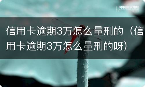 信用卡逾期3万怎么量刑的（信用卡逾期3万怎么量刑的呀）