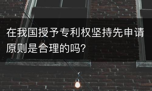 在我国授予专利权坚持先申请原则是合理的吗？