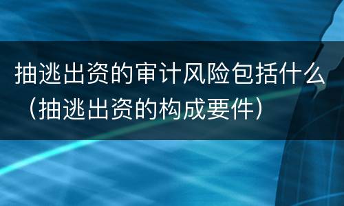 抽逃出资的审计风险包括什么（抽逃出资的构成要件）