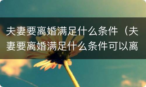 夫妻要离婚满足什么条件（夫妻要离婚满足什么条件可以离婚）