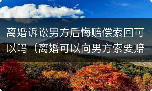 离婚诉讼男方后悔赔偿索回可以吗（离婚可以向男方索要赔偿吗）