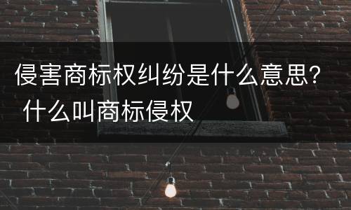 侵害商标权纠纷是什么意思？ 什么叫商标侵权