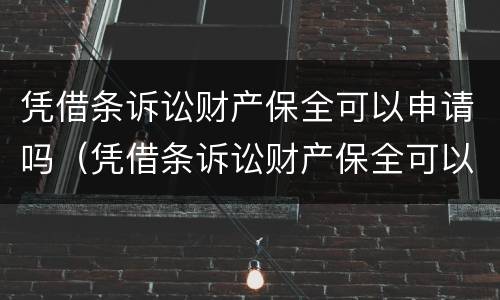 凭借条诉讼财产保全可以申请吗（凭借条诉讼财产保全可以申请吗法院）