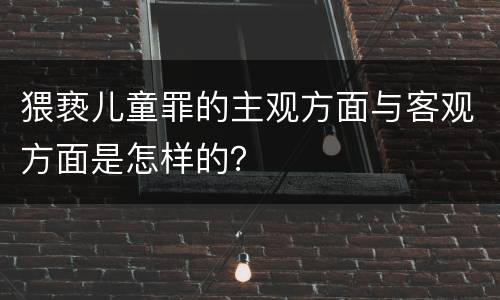 猥亵儿童罪的主观方面与客观方面是怎样的？