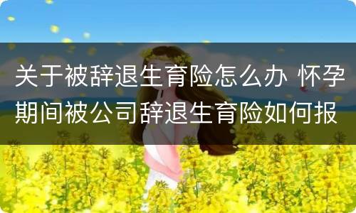 关于被辞退生育险怎么办 怀孕期间被公司辞退生育险如何报销