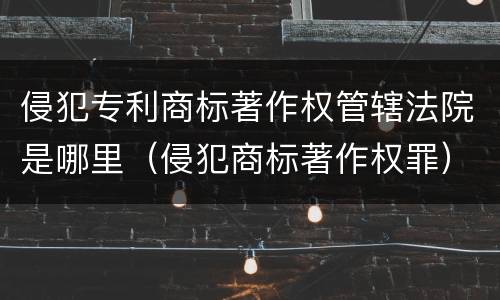 侵犯专利商标著作权管辖法院是哪里（侵犯商标著作权罪）