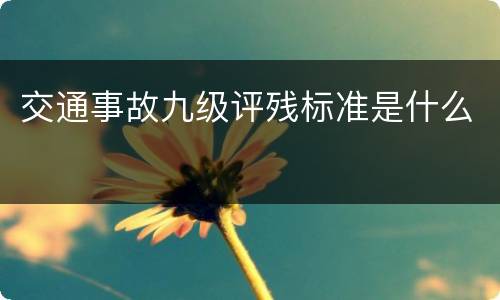 交通事故九级评残标准是什么