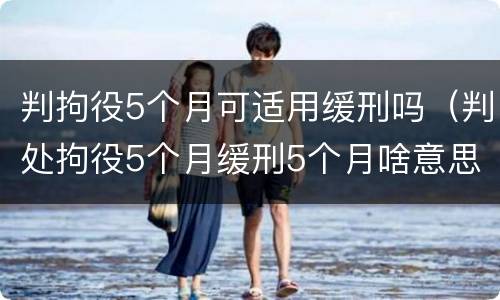 判拘役5个月可适用缓刑吗（判处拘役5个月缓刑5个月啥意思）