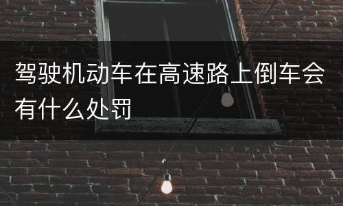 驾驶机动车在高速路上倒车会有什么处罚