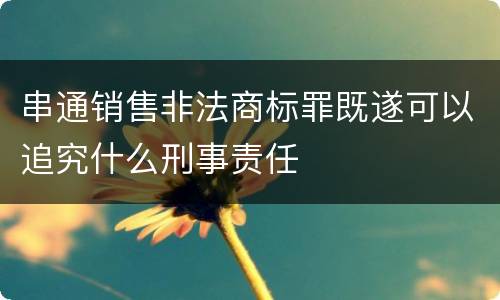 串通销售非法商标罪既遂可以追究什么刑事责任