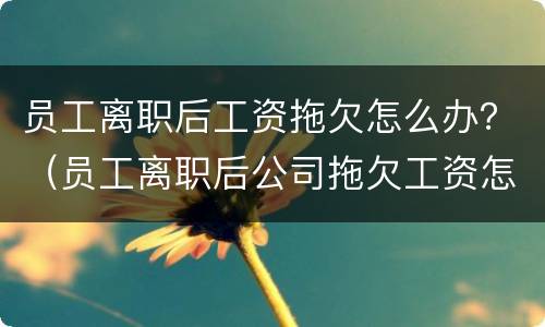 员工离职后工资拖欠怎么办？（员工离职后公司拖欠工资怎么办）
