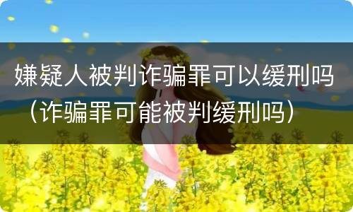 嫌疑人被判诈骗罪可以缓刑吗（诈骗罪可能被判缓刑吗）