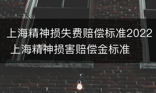 上海精神损失费赔偿标准2022 上海精神损害赔偿金标准