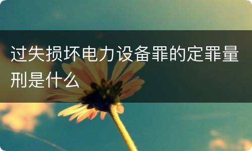 过失损坏电力设备罪的定罪量刑是什么
