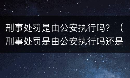 刑事处罚是由公安执行吗？（刑事处罚是由公安执行吗还是刑事）
