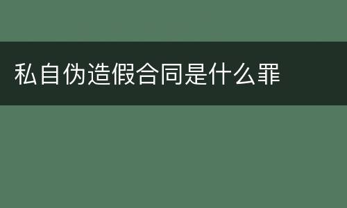 私自伪造假合同是什么罪