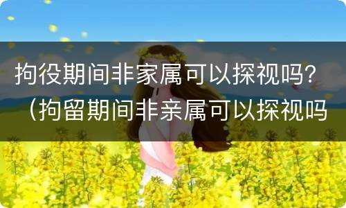 拘役期间非家属可以探视吗？（拘留期间非亲属可以探视吗）