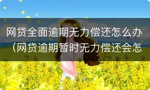 网贷全面逾期无力偿还怎么办（网贷逾期暂时无力偿还会怎样）