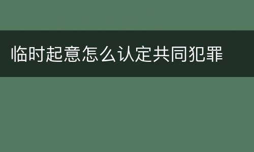 临时起意怎么认定共同犯罪