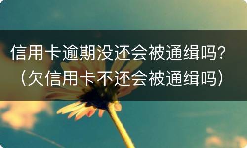 信用卡逾期没还会被通缉吗？（欠信用卡不还会被通缉吗）