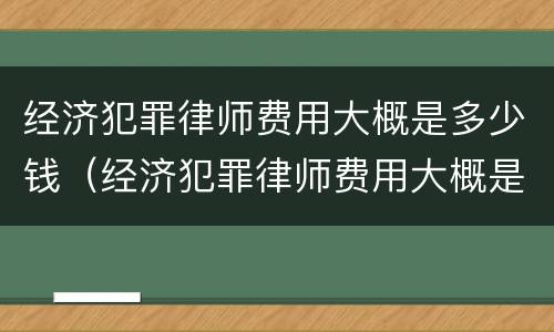 经济犯罪律师费用大概是多少钱（经济犯罪律师费用大概是多少钱一个月）