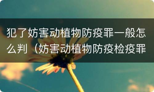 犯了妨害动植物防疫罪一般怎么判（妨害动植物防疫检疫罪构成要件）