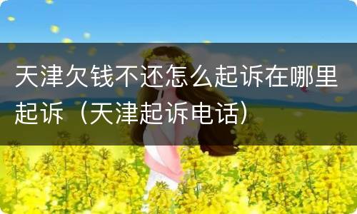 天津欠钱不还怎么起诉在哪里起诉（天津起诉电话）