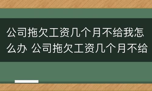 公司拖欠工资几个月不给我怎么办 公司拖欠工资几个月不给我怎么办呢