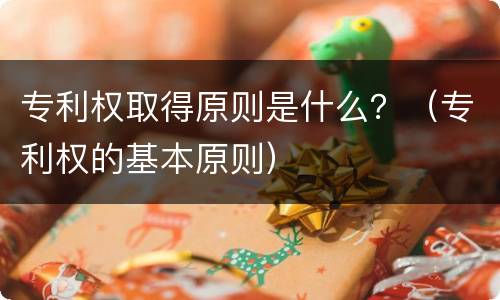 专利权取得原则是什么？（专利权的基本原则）