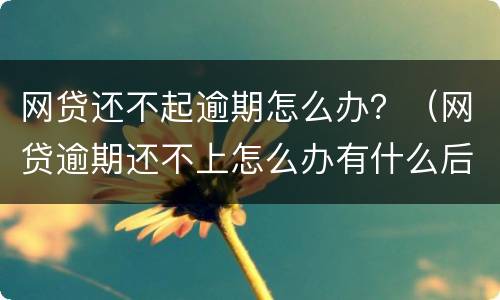 网贷还不起逾期怎么办？（网贷逾期还不上怎么办有什么后果）